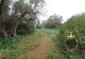 Terreno no urbanizable en venta en la España, Felanitx, ref: TR223225 foto