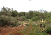 Terreno no urbanizable en venta en la España, Felanitx, ref: TR223225 foto