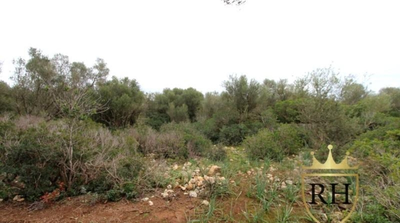 Balearic Islands - Felanitx - 61129m2