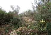 Terreno no urbanizable en venta en la España, Felanitx, ref: TR223225 foto