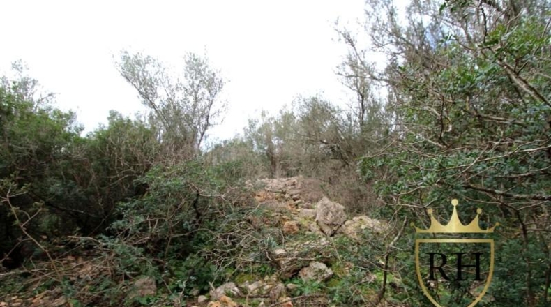 Balearic Islands - Felanitx - 61129m2