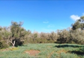 Terreno no urbanizable en venta en la España, Felanitx, ref: TR223601 foto