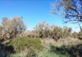 Terreno no urbanizable en venta en la España, Felanitx, ref: TR223601 foto
