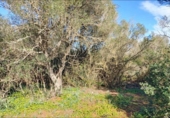 Terreno no urbanizable en venta en la España, Felanitx, ref: TR223601 foto
