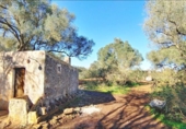 Terreno no urbanizable en venta en la España, Felanitx, ref: TR223601 foto