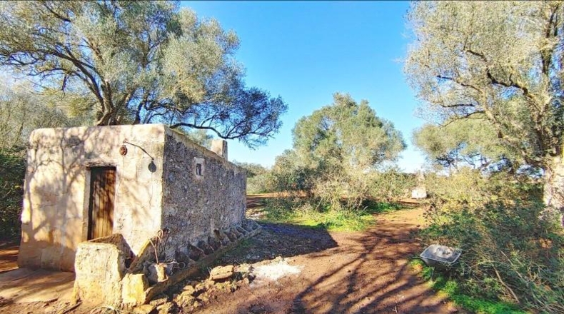 Balearic Islands - Felanitx - 61000m2