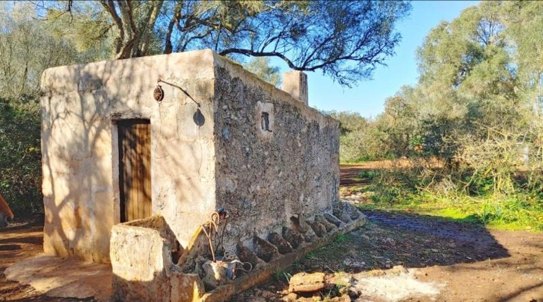 Balearic Islands - Felanitx - 61000m2
