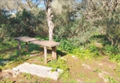 Terreno no urbanizable en venta en la España, Felanitx, ref: TR223601 foto