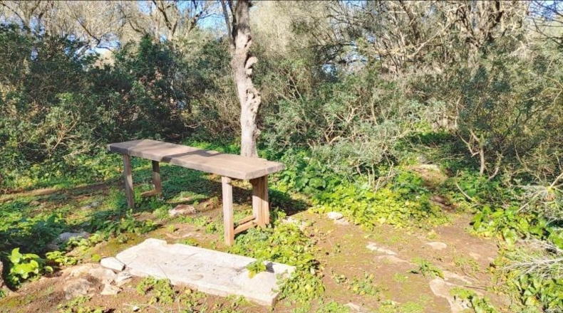 Balearic Islands - Felanitx - 61000m2