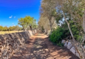 Parcela urbanizable en venta en la España, Felanitx, ref: TR132055 foto