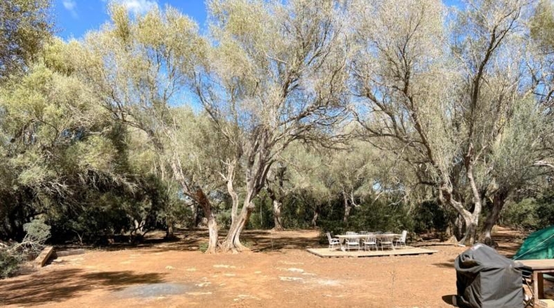 Balearic Islands - Felanitx - 61021m2