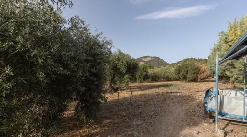 Granada - Alfacar - 300m2
