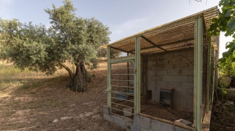 Granada - Alfacar - 300m2