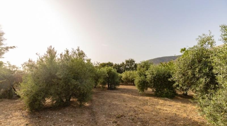 Granada - Alfacar - 300m2
