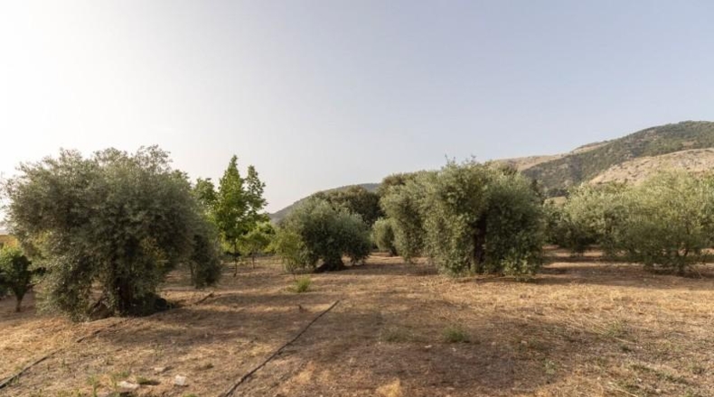 Granada - Alfacar - 300m2