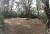Non-developable land for sale on España, Felanitx, ref: TR342953 photo