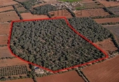 Non-developable land for sale on España, Felanitx, ref: TR342953 photo