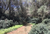 Non-developable land for sale on España, Felanitx, ref: TR342953 photo