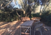 Non-developable land for sale on España, Felanitx, ref: TR342953 photo