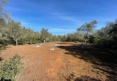 Non-developable land for sale on España, Felanitx, ref: TR342953 photo