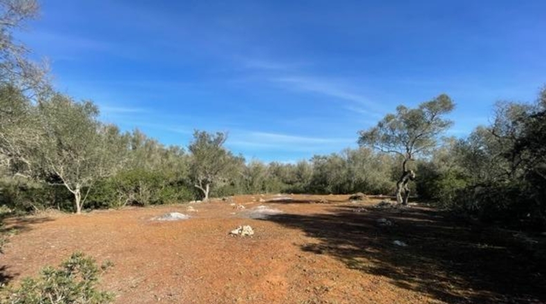 Islas Baleares - Felanitx - 6129m2