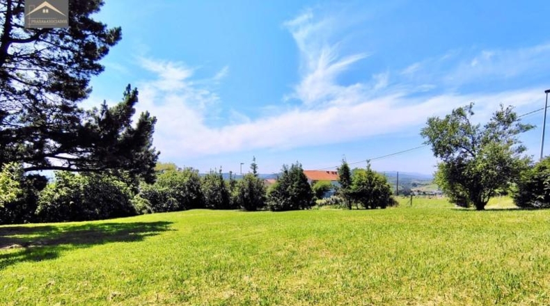 Castellón - Almenara - 4300m2