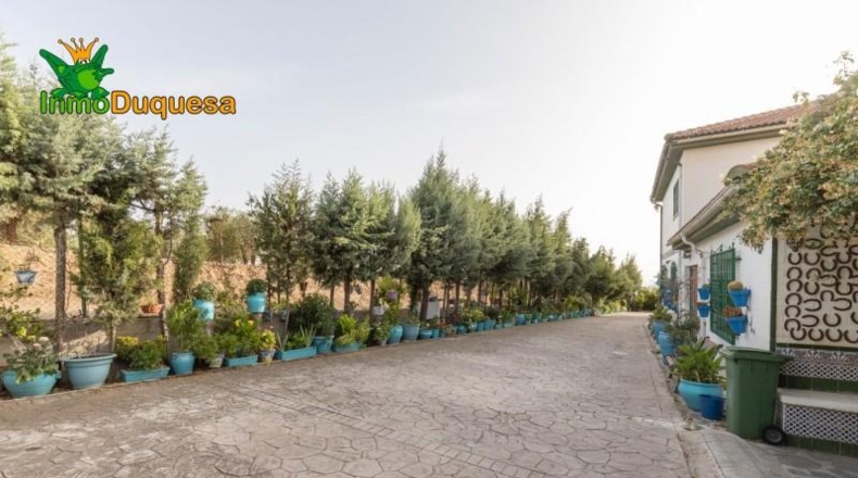 Granada - Alfacar - 7000m2