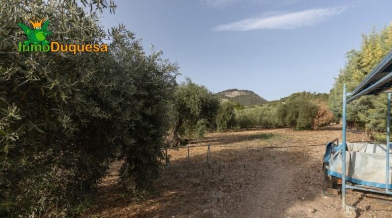 Granada - Alfacar - 7000m2