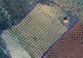 Country house with land for sale on , Hornachos, ref: TR412468 photo