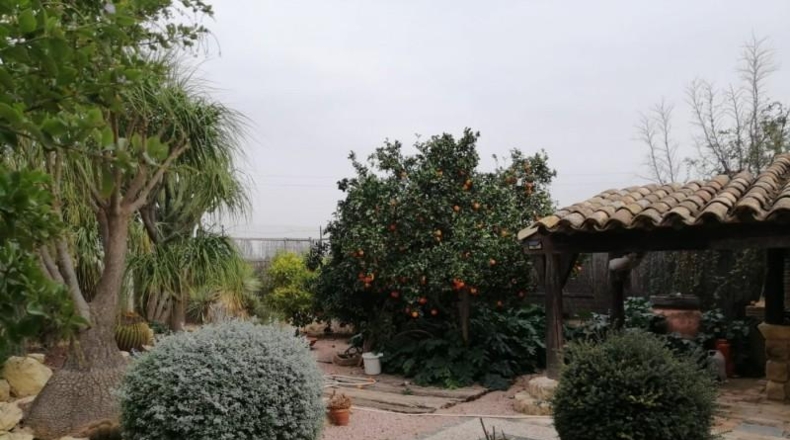 Valencia - el Palomar - 1500m2