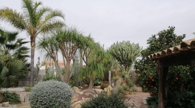 Valencia - el Palomar - 1500m2