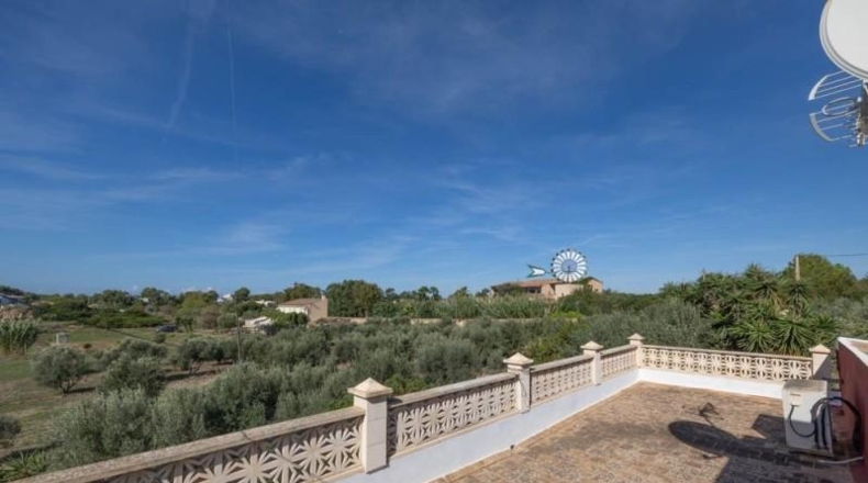 Islas Baleares - Campos - 14500m2