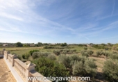 Chalet independiente con terreno en venta en la España, Ses Salines, ref: TR136912 foto