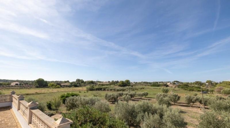 Islas Baleares - Campos - 14500m2