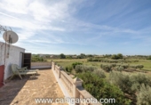 Chalet independiente con terreno en venta en la España, Ses Salines, ref: TR136912 foto