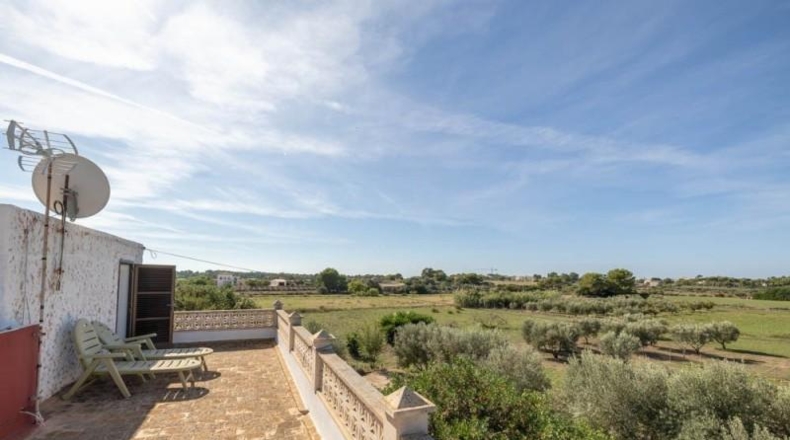 Islas Baleares - Campos - 14500m2