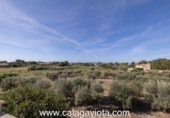 Chalet independiente con terreno en venta en la España, Ses Salines, ref: TR136912 foto