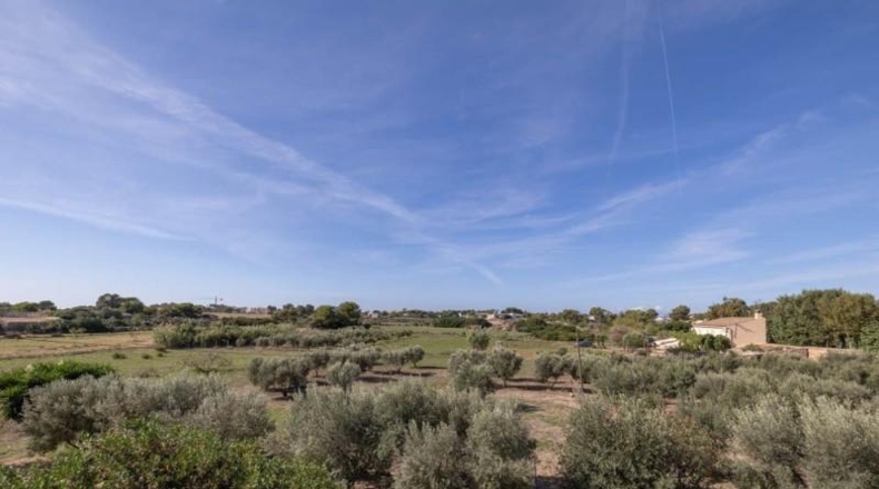 Islas Baleares - Campos - 14500m2