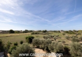 Chalet independiente con terreno en venta en la España, Ses Salines, ref: TR136912 foto