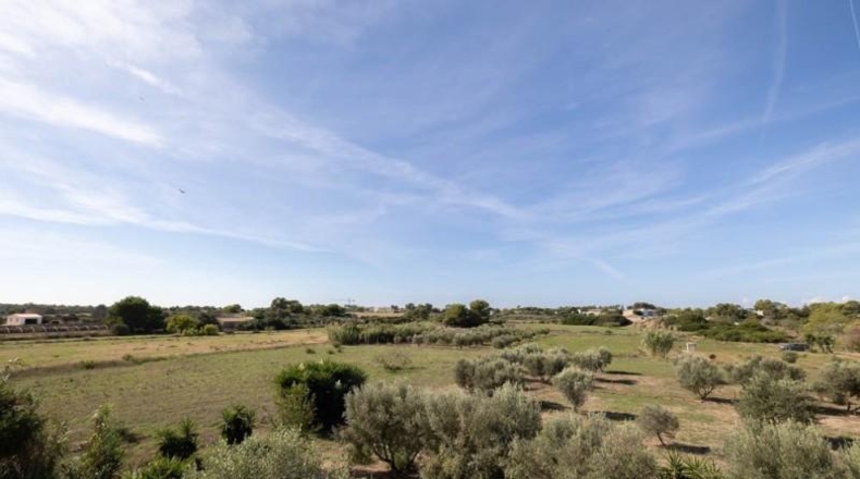Islas Baleares - Campos - 14500m2