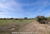Chalet independiente con terreno en venta en la España, Ses Salines, ref: TR136912 foto