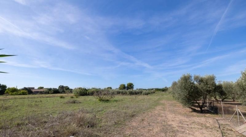 Islas Baleares - Campos - 14500m2
