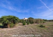 Chalet independiente con terreno en venta en la España, Ses Salines, ref: TR136912 foto