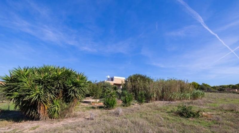 Islas Baleares - Campos - 14500m2