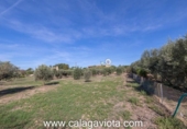 Chalet independiente con terreno en venta en la España, Ses Salines, ref: TR136912 foto
