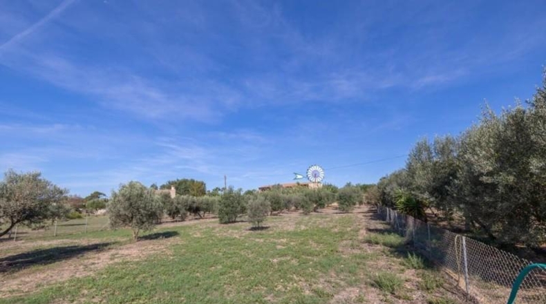 Islas Baleares - Campos - 14500m2