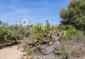 Chalet independiente con terreno en venta en la España, Ses Salines, ref: TR136912 foto