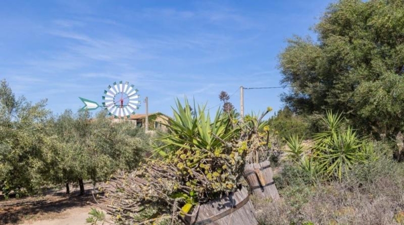 Islas Baleares - Campos - 14500m2