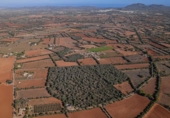 Terreno no urbanizable en venta en la España, Felanitx, ref: TR125527 foto