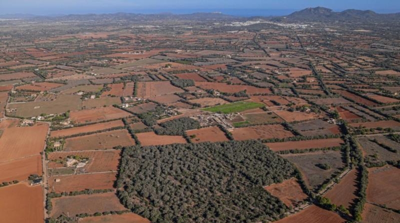 Islas Baleares - Felanitx - 61000m2